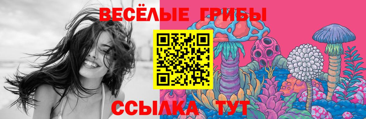 Псилоцибиновые грибы Psilocybine cubensis Одинцово