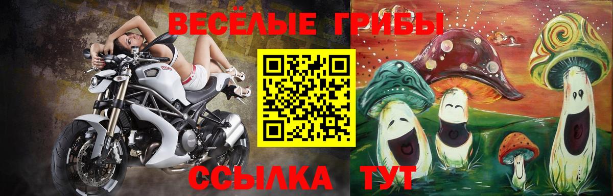 Одинцово  Псилоцибиновые грибы MAGIC MUSHROOMS  Галлюциногенные грибы Psilocybe  Вход с VPN 